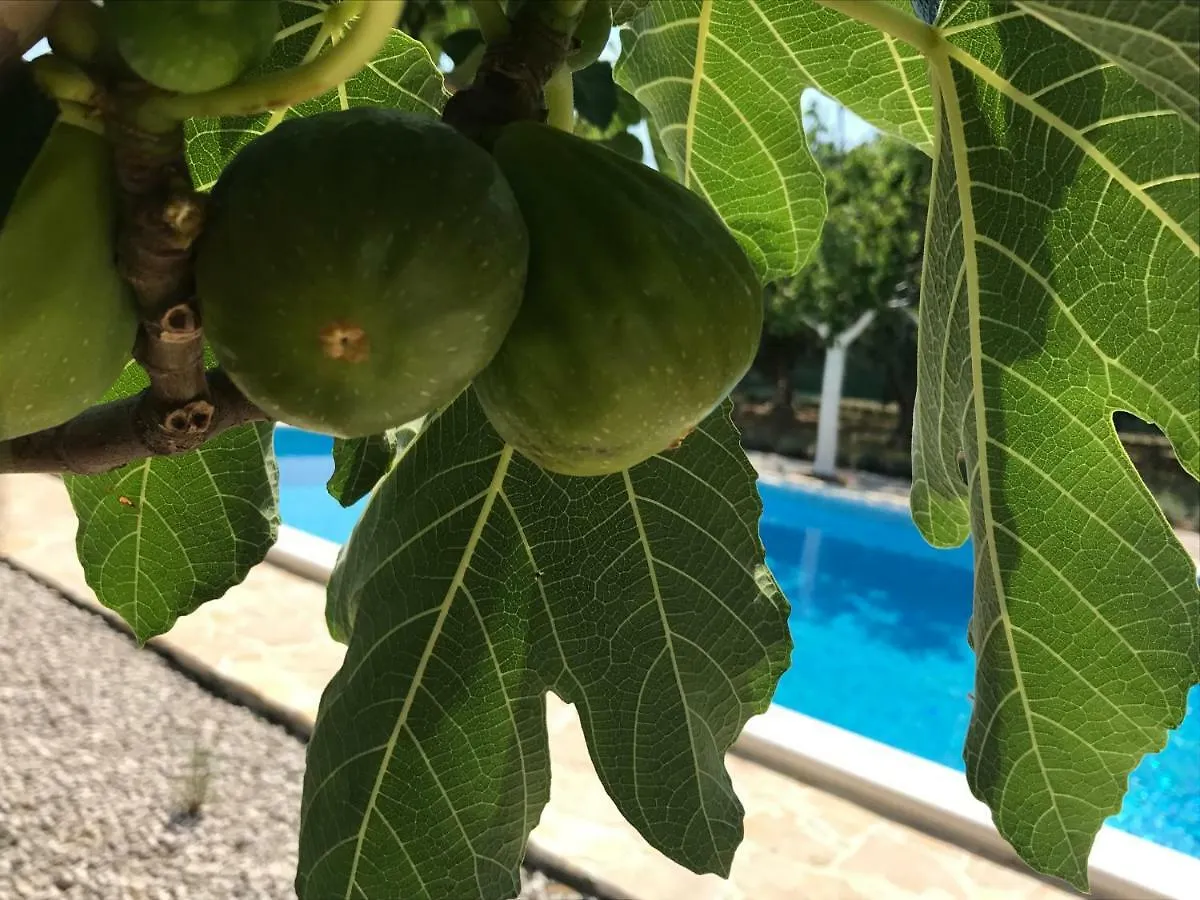 Holiday Home Oleja Σπλιτ Κροατία