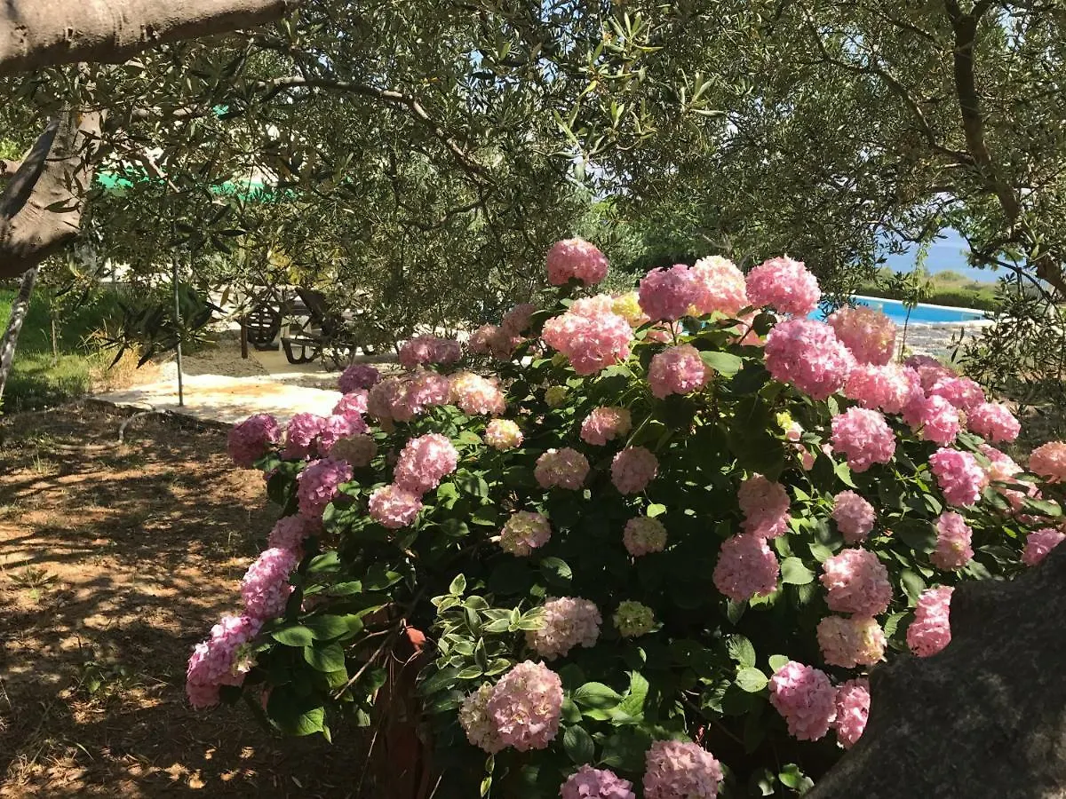 Holiday Home Oleja Split Croacia